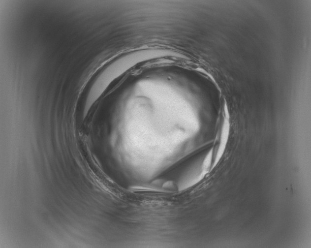 X0000082950242200702152247