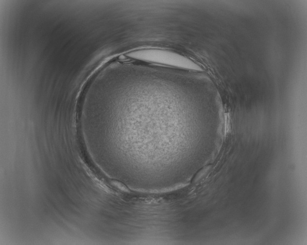 X0000082950243200702152247