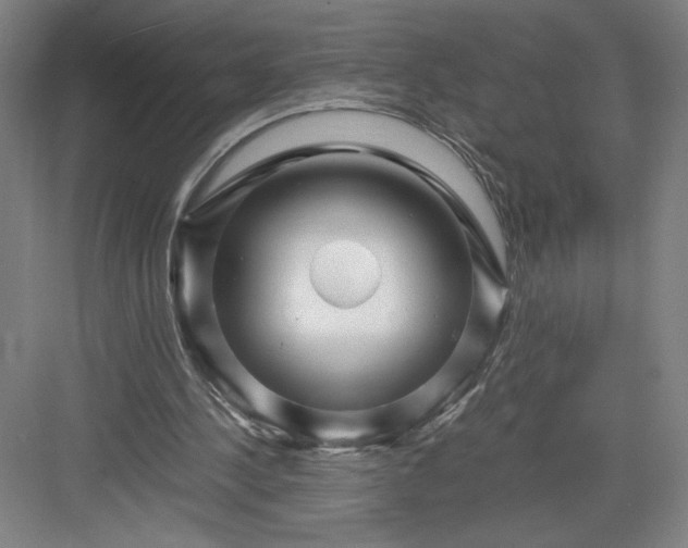 X0000082950244200702152247