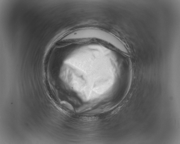 X0000082950245200702152247