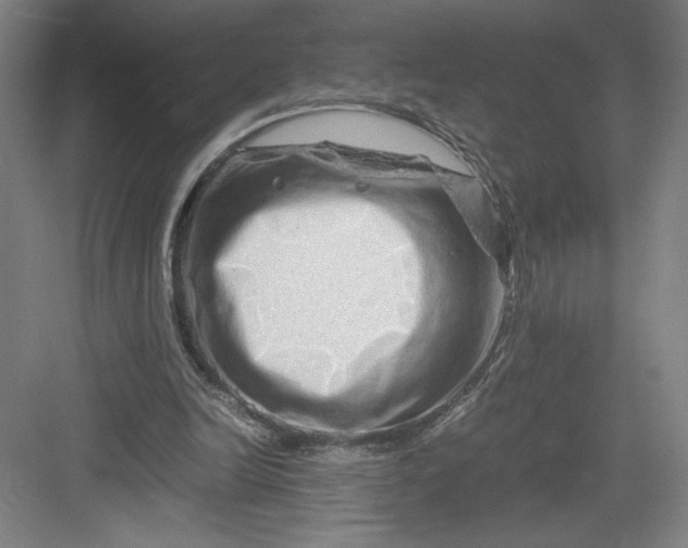 X0000082950246200702152247