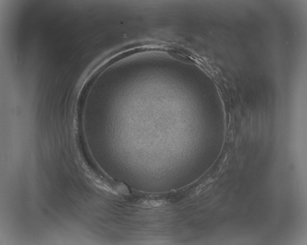 X0000082950247200702152247