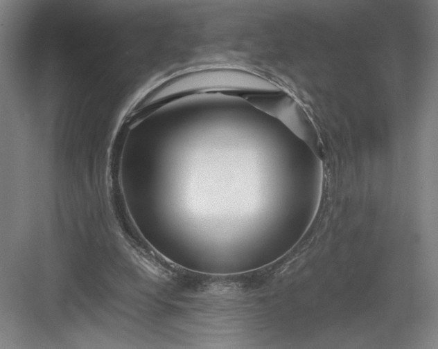 X0000082950248200702152247