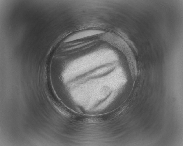 X0000082950250200702152247