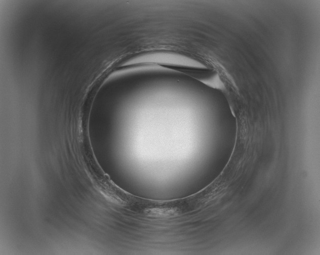 X0000082950251200702152247