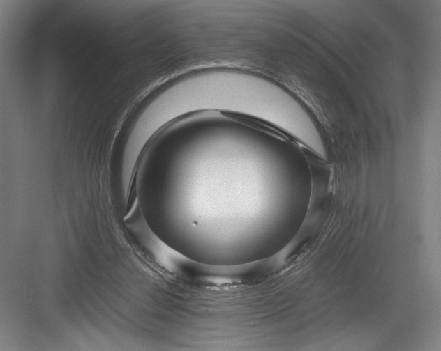 X0000082950252200702152247