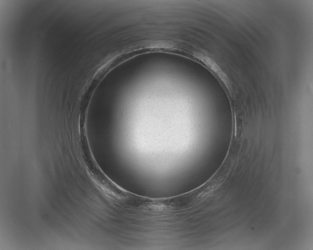 X0000082950253200702152247