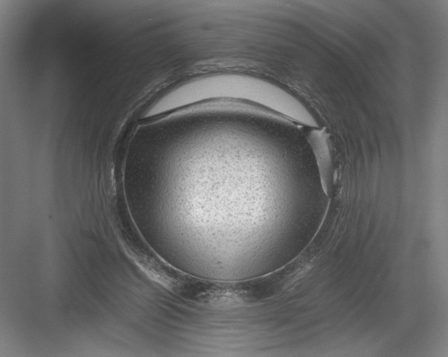 X0000082950254200702152247