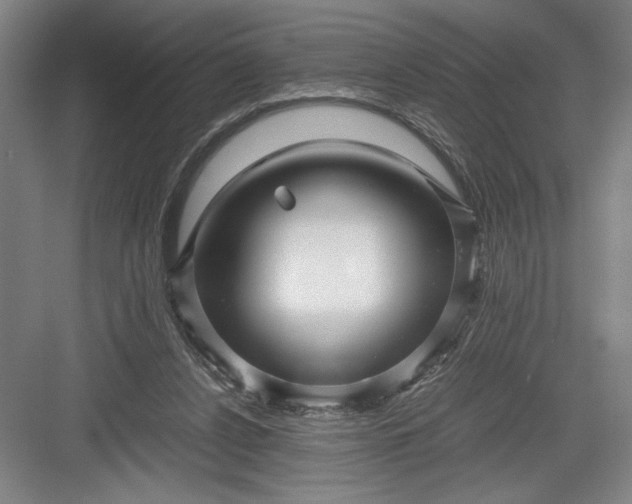 X0000082950256200702152247