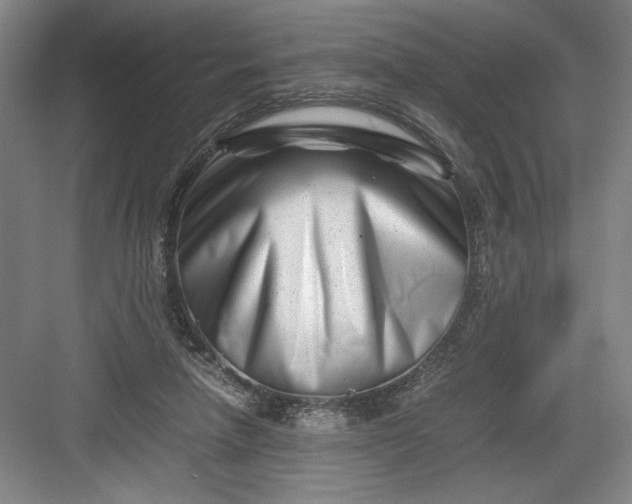 X0000082950258200702152247