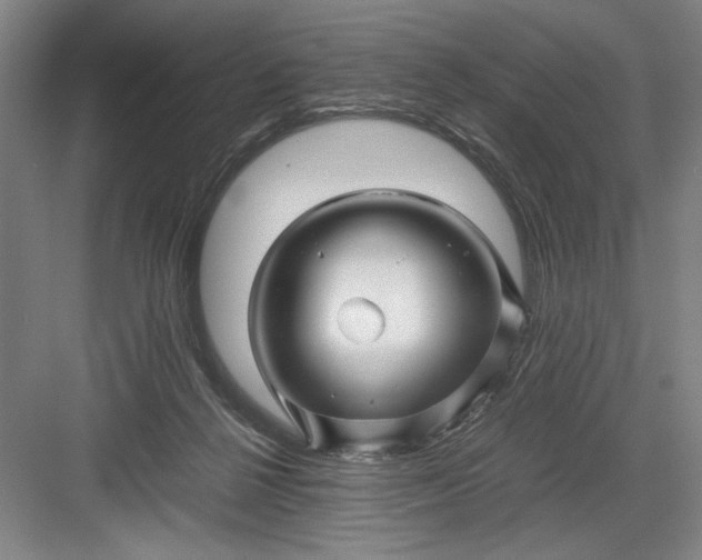 X0000082950264200702152247