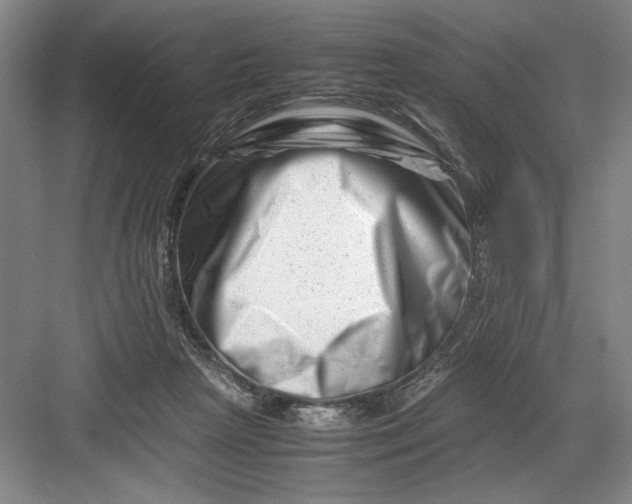 X0000082950265200702152247