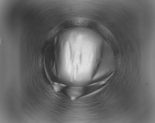 X0000082950266200702152247