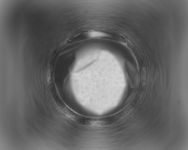 X0000082950268200702152247