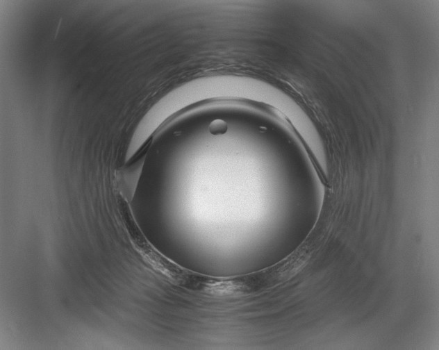 X0000082950269200702152247