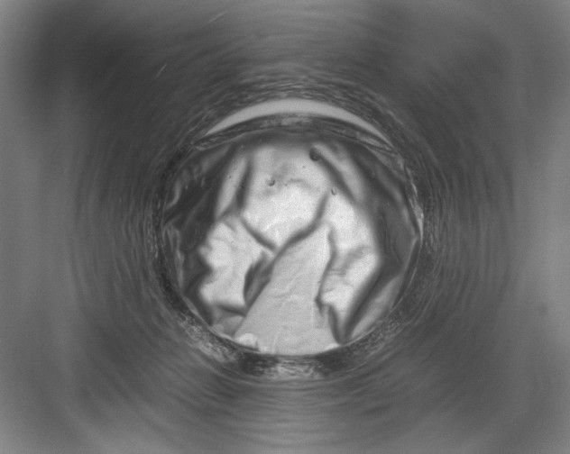 X0000082950270200702152247