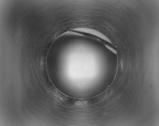 X0000082950271200702152247