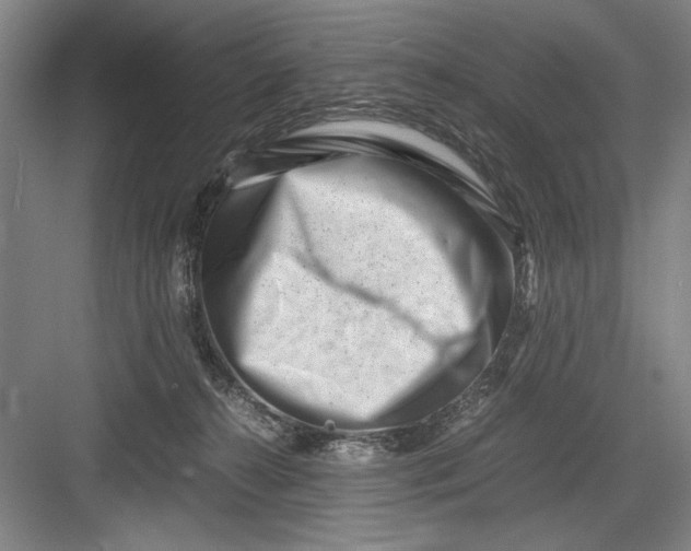 X0000082950272200702152247