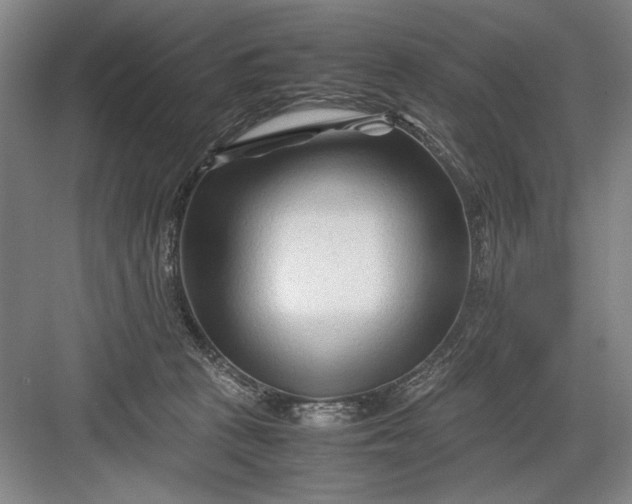 X0000082950273200702152248