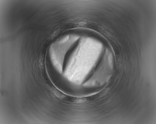 X0000082950274200702152248