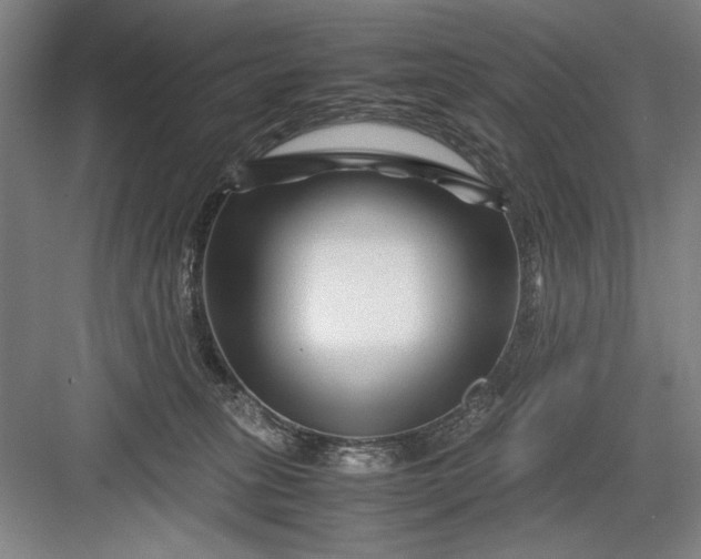 X0000082950275200702152248