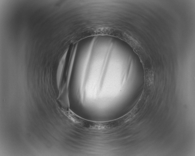 X0000082950276200702152248