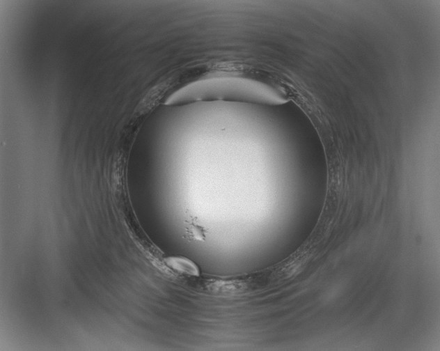 X0000082950277200702152248