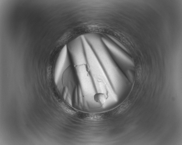 X0000082950278200702152248