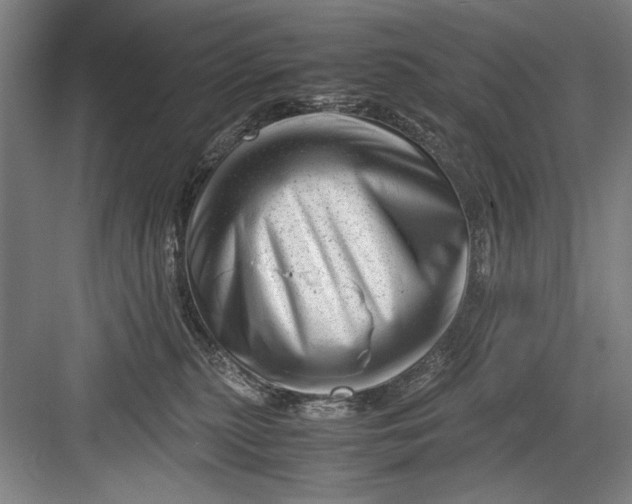 X0000082950279200702152248