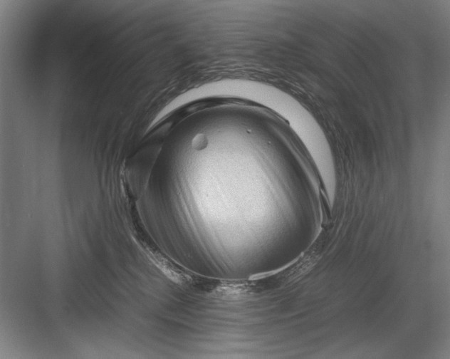 X0000082950280200702152248