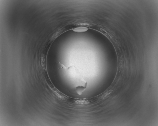 X0000082950281200702152248