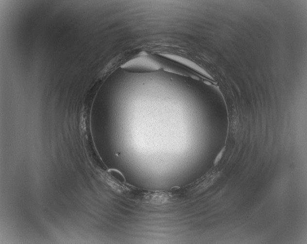 X0000082950282200702152248