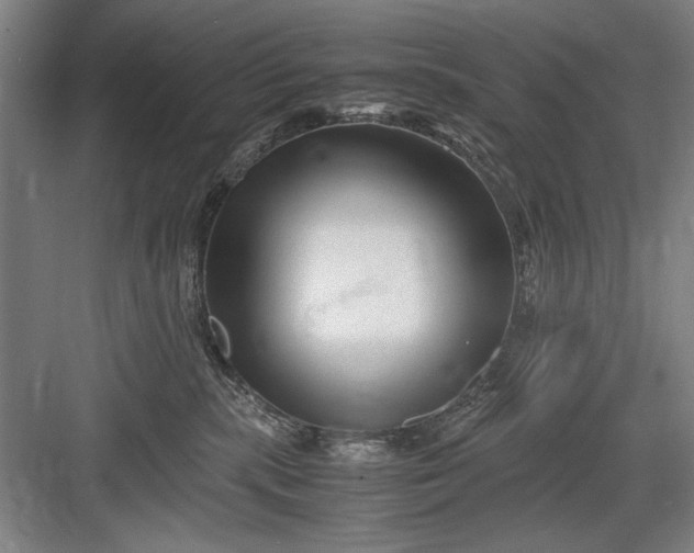 X0000082950283200702152248