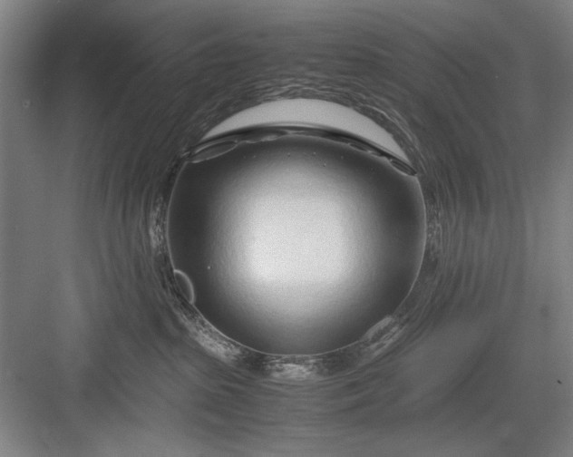 X0000082950285200702152248