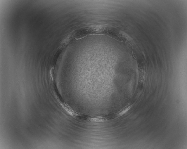 X0000082950286200702152248