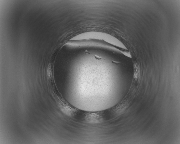 X0000082950287200702152248