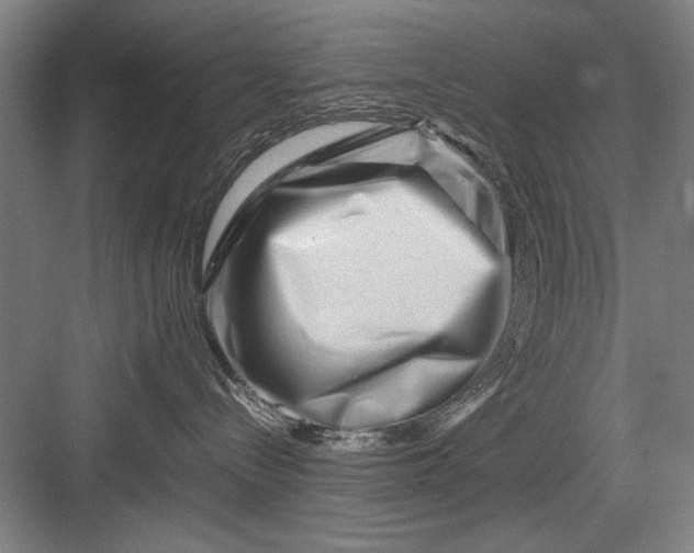 X0000082950288200702152248