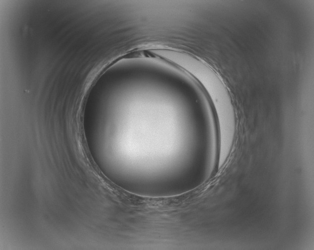 X0000082950289200702152247