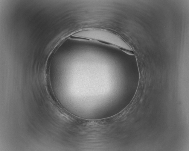 X0000082950290200702152247