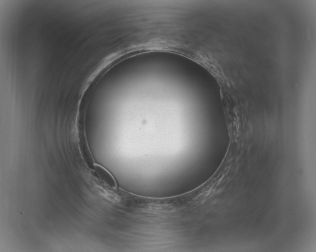 X0000082950292200702152247