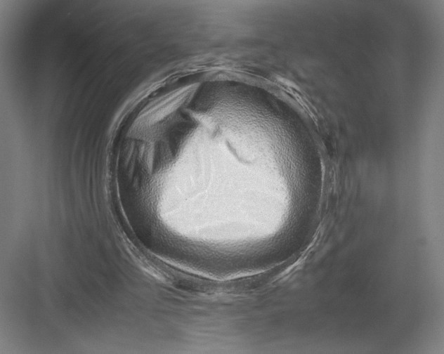 X0000082950293200702152247