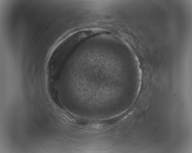 X0000082950295200702152247