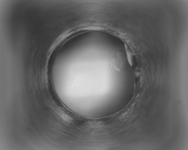 X0000082950296200702152247