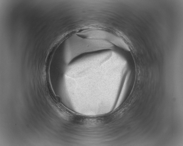 X0000082950298200702152247