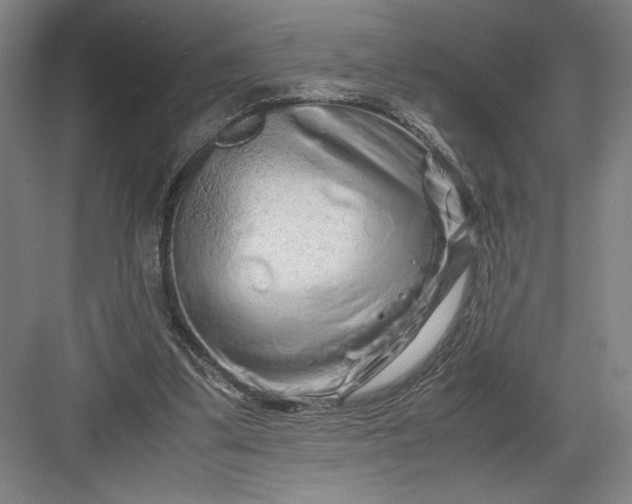 X0000082950299200702152247