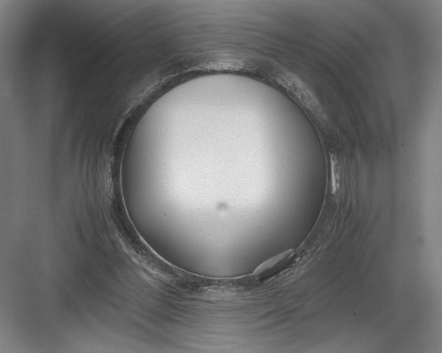 X0000082950300200702152247