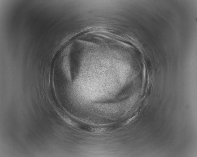 X0000082950301200702152247