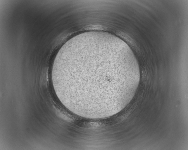 X0000082950302200702152247