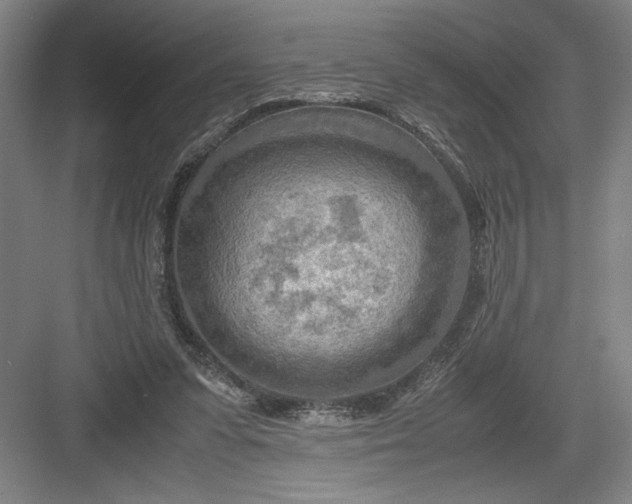 X0000082950303200702152247