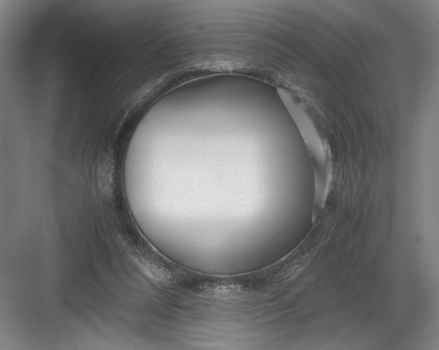 X0000082950304200702152247